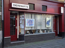 Dierenartspraktijk Amsterdam Centrum en West